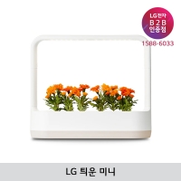 [LG B2B] ﻿﻿LG 틔운 미니 식물재배기 - L023E1P (베이지/씨앗키트-비타민)